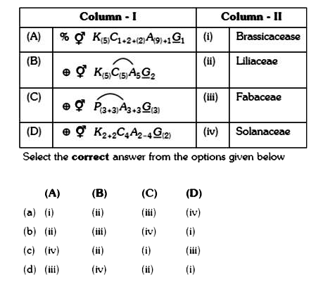 Match Column - I with Column - II