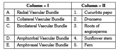 Match the items in Column - I with Column - II and choose the correct option