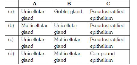 ocr_image