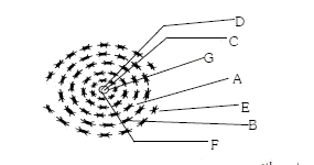 In the diagram of the section of bone tissue given below, certain parts have been indicated by alphabets, choose the answer in which these alphabets have been correctly matched with the parts which they indicate