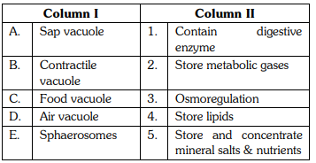 Match column I with column II and select the correct option