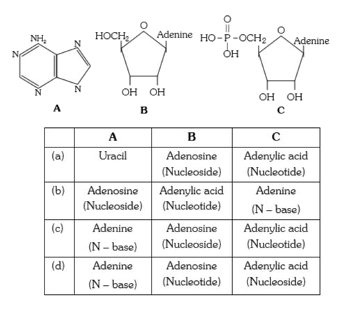 See the following figure and identify the correct combination-