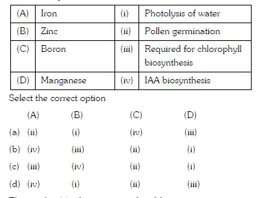 Match the following concerning essential elements and their functions in plants