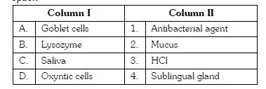 Match column I with column II and choose the correct option