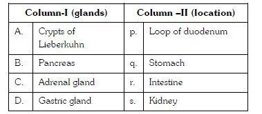 Match the names of glands listed under column-I with the location given under column-II, choose the answer which gives correct combination of the alphabets of the two columns