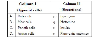 Match the types of cells listed under column I with the secretions given under column II.