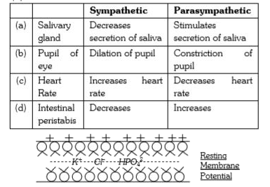 ocr_image