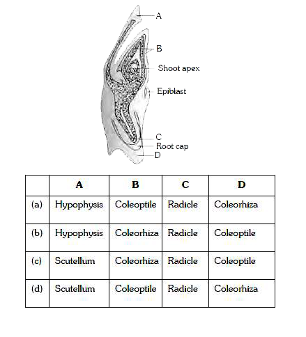 Identify all the four parts A, B, C and D in the given diagram