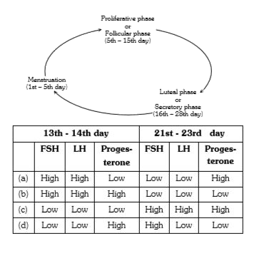 The events of the menstrual cycle are represented below. Select the right option in which the level of FSH, LH and progesterone are mentioned correctly