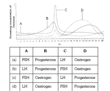 The following graph represents the concentrations of the four hormones present in the blood plasma of a woman during her menstrual cycle. Identify the hormones