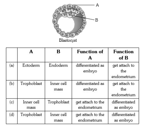 Select the right option in which A and B are correctly identified with their respective functions