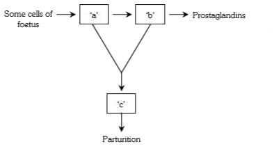 What does ‘a’, ‘b’ and ‘c’ represents in the following flow chart