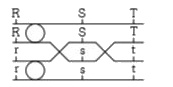 The figure shows a homologous (bivalent) pair of chromosomes during meiosis       Which one of the following option correctly illustrates the final products of the second meiotic division