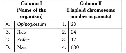 Match column I with column II and select the correct option