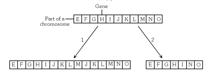 The given figure shows two types of chromosome mutation       These are called