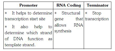 ocr_image