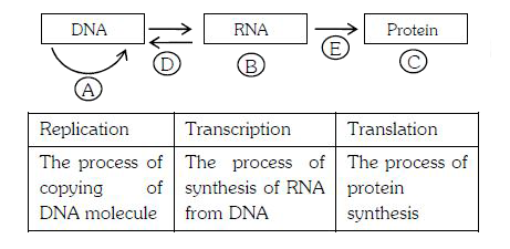 ocr_image