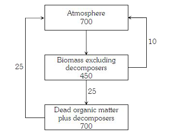 The figure given below shows estimated values for carbon fixation in a terrestrial ecosystem. Diagram refer to tones × 10^9 , fixed or available for fixation   Which result can be drawn from the figure