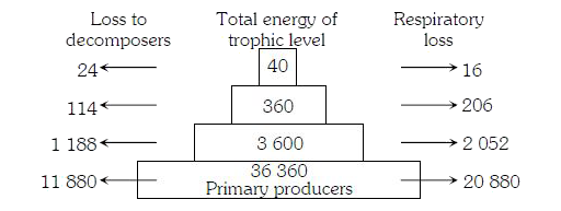 The figure shows a pyramid of energy which represents energy loss from a food chain to decomposers, upward transfer of energy to the next trophic level and energy loss through respiration. All diagram are in km^(-2)Y^(-1)