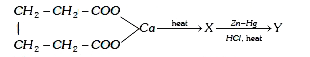 Identify the product Y in the following reaction sequence