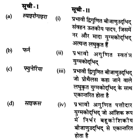 पादपों को उनके द्वारा प्रदर्शित जीवन चक्र के प्रकार से सुमेलित कीजिए।