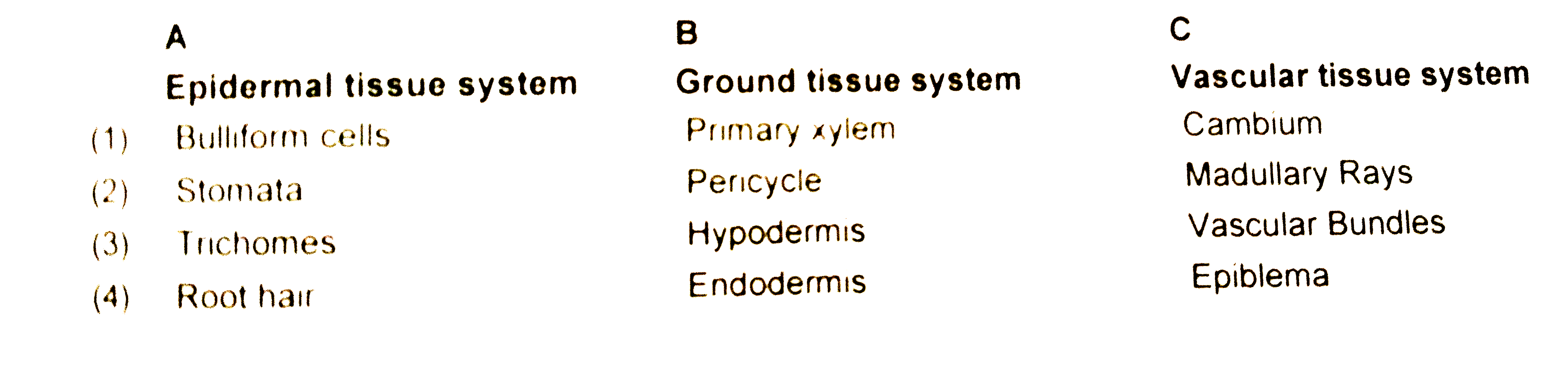 Which of the following option gives the correct categorisation of the tissue systems found in plants :-