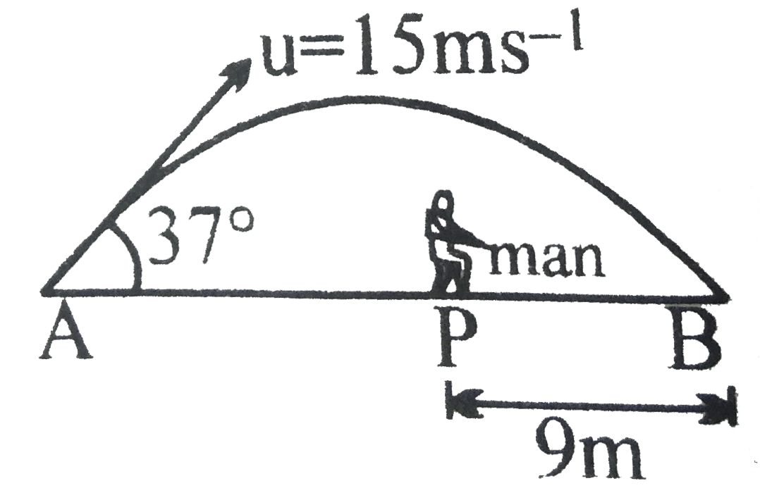 A ball is hit by a batsman at an angle of 37^(@) as shown in figure. The man standing at P should run at what minimum velocity so that he catches the ball before it strikes the ground. Assume that height of man is negligible in comparison to maximum height of projectile.