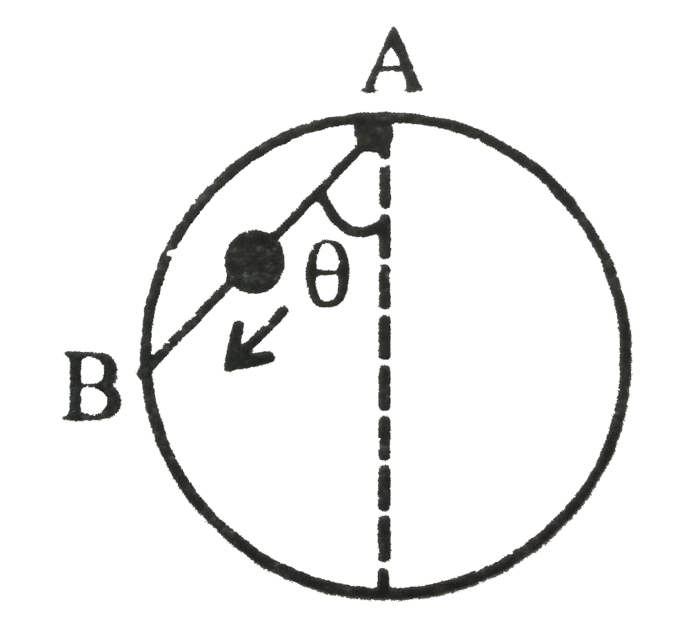 A bead is free to slide down a smooth wire tightly stretched between points A and B on a vertical circle. If the starts from rest at A, the heighest point on the circle
