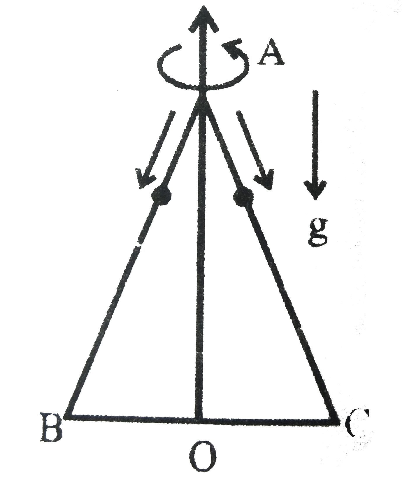 A equilaterial triangle ABC formed from a uniform wire has two small identical beads initially located at A. The triangle is set rotating about the vertical axis AO. Then the beads are released from rest simultaneously and allowed to slide down. one long. AB and the other along AC as shown. Neglecting frictional effects, the quantities that are conserved as the beads slide down, are.   .