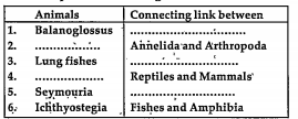 Complete the following chart.