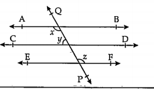 रेषा AB || रेषा CD || रेषा EF आणि  रेषा QP ही त्यांची छेदिका आहे. जर  y : z = 3 : 7 तर x ची किंमत काढा.