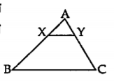 खालील उपप्रश्‍नांची पर्यायी उत्तरे दिली आहेत. त्यांपैकी अघूक पर्याय निवडा.   आकृतीमध्ये रेख XY | |  रेख BC तर खालीलपैकी कोणते विधान सत्य आहे?.