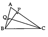 शेजारील आकृतीमध्ये BP bot AC, CQ bot AB. A - P - C, A - Q - B तर triangle APB व triangle AQC समरूप दाखवा.