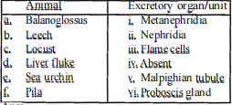 Excretory organs of different animals are given below. Choose, correctly .