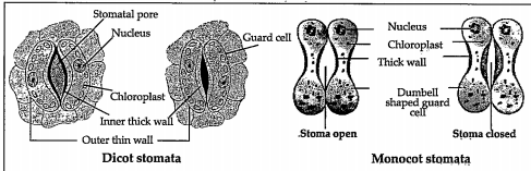 Write the information related to diagrams given below.