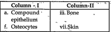 Match the terms in column I with those in column II: