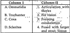 Match the columns and choose the exact combinations