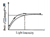 Figure shows the effect of light on the rate of photosynthesis. Based on the graph, answer the following questions:  At which points (A, B or C) in the curve is light a limiting factor?