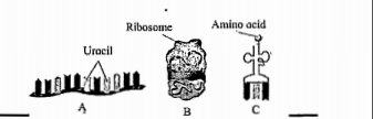 ocr_image