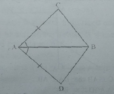 ಚತುರ್ಭುಜ  ACBD  ಯಲ್ಲಿ  AC = AD  ಮತ್ತು  AB  ಯು  angleA. ಯನ್ನು ಆರ್ಧಿಸುತ್ತಿದೆ. triangleABC  cong triangleABD ಎಂದು ತೋರಿಸಿ. BC ಮತ್ತು BD  ಗಳಿಗೆ ಸಂಬಂಧಿಸಿದಂತೆ ನೀವೇನು ಹೇಳುವಿರಿ?