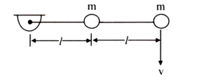 जैसा कि चित्र में दिखाया गया है, प्रत्येक m द्रव्यमान के दो मनकों को 2l लंबाई की एक हल्की कठोर छड़ पर स्थिर किया जाता है जो एक क्षैतिज तल में घूमने के लिए स्वतंत्र है। दूर वाले सिरे पर स्थित मनके को कुछ वेग v दिया गया है। यदि K(cm) निकाय के द्रव्यमान केंद्र की गतिज ऊर्जा को दर्शाता है और KR  निकाय की घूर्णी गतिज ऊर्जा को दर्शाता है, तो K(cm)/KR  का मान क्या है?