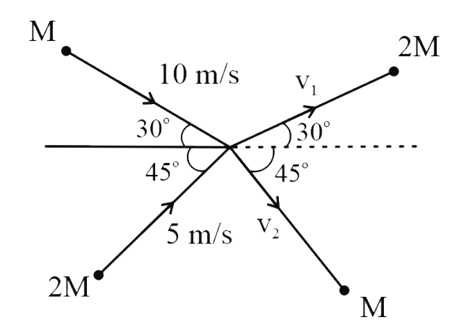 जैसा कि चित्र में दिखाया गया है, M और 2M द्रव्यमानों के दो कण 10 m s^(-1) और 5 m s^(-1) की चालों के साथ गतिमान हैं। वे मूल बिंदु पर संघट्ट करते हैं और इसके बाद वे क्रमश: v(1) और v(2) चालों के साथ निर्देशित दिशा में गति करते हैं। v(1) और v(2) के मान लगभग हैं: