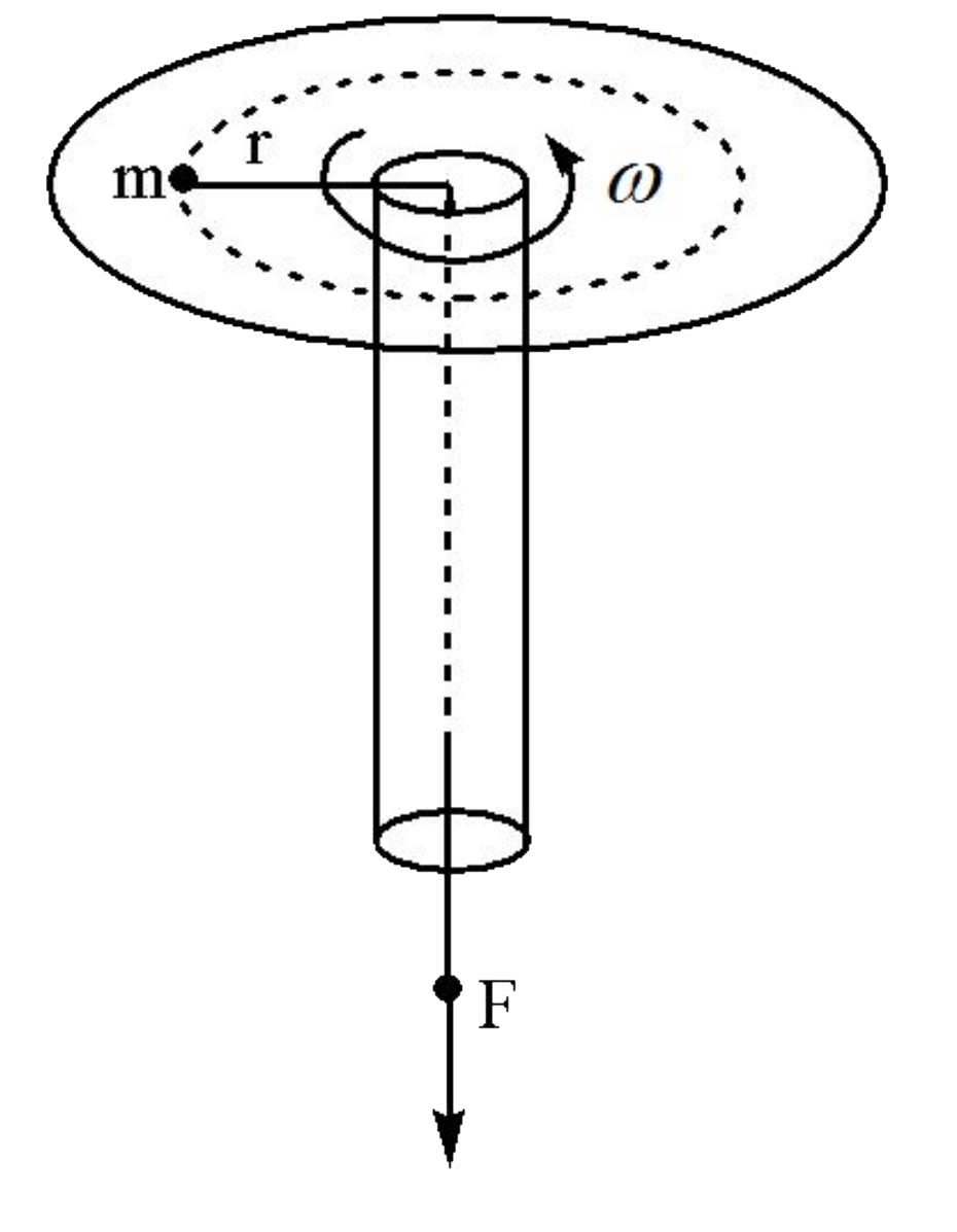 दृव्यमान m का एक छोटा कोण और इसे रोक कर रखे वाली डोरी एक चिकनी चक्ति है के क्षैतिज पृष्ट पर कोनिये वेग w से घूर्णन कर रही है जैसे -जैसे बल F थोड़ा तिथिल किया जाता है r बढ़ता है और w परवर्तित करती है r के सापेक्ष w के परिवर्तन की दर गयर कीजिये