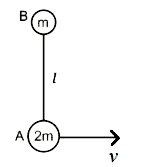 लंबाई । की एक अवितान्य डोरी के साथ जुड़े दो द्रव्यमान A और B, एक चिकने क्षैतिज तल पर रखे हुए हैं। जैसा कि चित्र में दिखाया गया है, A को रेखा AB के लंबवत धरातल के अनुदिश v ms^(-1)  का वेग दिया जाता है। उनकी आगामी गति के दौरान डोरी में तनाव ज्ञात कीजिए।