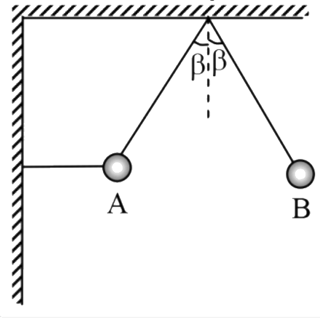 दो हल्की डोरियों द्वारा A स्थिति पर एक गेंद को विरामावस्था में रखा जाता है। क्षैतिज डोरी को काट दिया जाता है और गेंद एक लोलक की तरह दोलन करना प्रारंभ कर देती है। गेंद की गति के दाई ओर सबसे दूरस्थ बिंदु B है। जब यह आगे और पीछे दोलन करती है। स्थिति B में आधार प्रदान करने वाली डोरी में तनाव और क्षैतिज डोरी के कटने से पहले A पर तनाव के मान का अनुपात क्या है?