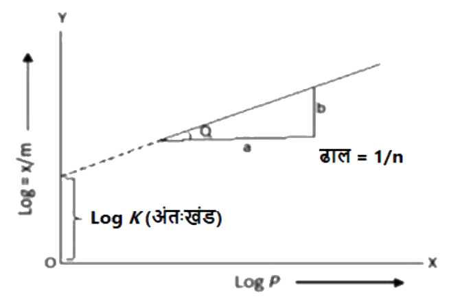 समीकरण x/m=kP^(1/n) के अनुसार log(x//m) और log P के बीच एक आरेख बनाया गया है।      इस आरेख के संबंध में निम्नलिखित में से कोन सा कथन सही नहीं है?