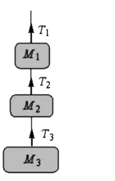 M1, M2 और M3  के द्रव्यमान क्रमश: 5, 2 और 3 kg हैं। जैसा कि चित्र में दर्शाया गया है, इन्हें अवितान्य द्रव्यमान रहित डोरी का उपयोग करके बांधा गया है। यदि पूरा निकाय 2m s^(-2)  के त्वरण से ऊपर की ओर जा रहा है, तो तनाव क्रमश: T1, T2  और T3  का मान है [ g= 9.8 m s^(-2)  लीजिए]:
