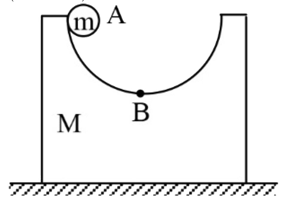 त्रिज्या R = 1.1 m के अर्धवृत्तीय पथ वाला एक गुटका जिसका द्रव्यमान M = 2 kg है, घर्षणरहित क्षैतिज पृष्ठ पर विरामावस्था में है। त्रिज्या r = 10 cm और द्रव्यमान m = 1.0 kg का एकसमान बेलन शीर्ष बिंदु A से विरामावस्था से छोड़ा जाता है। बेलन घर्षणरहित क्षैतिज पृष्ठ पर फिसल जाता है। जब बेलन बिंदु B पर पथ की तली तक पहुंच जाता है तब गुटके की चाल है: (g = 10 m s^(-2))