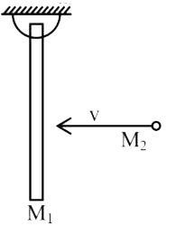 M(1) द्रव्यमान की एकसमान छड़ अपने ऊपरी सिरे से लटकी हुई है। क्षैतिज रूप से गतिमान M(2) द्रव्यमान का एक कण छड़ के मध्य बिंदु पर प्रत्यास्थ रूप से टकराता हैं यदि कण संघट्ट के बाद विरामावस्था में आ जाता है तब (M(1))/(M(2)) का मान ज्ञात कीजिए।