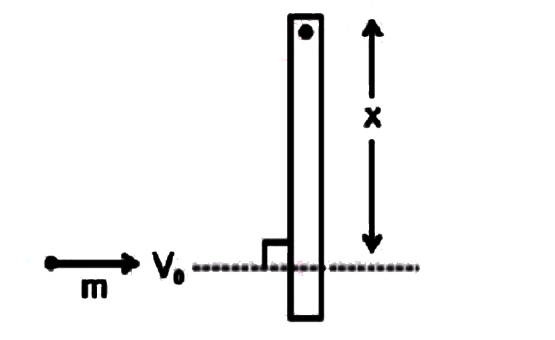 द्रव्यमान m और लंबाई L की एकसमान छड़ के एक सिरे पर कब्जा लगा है और क्षैतिज तल में घूमने के लिए स्वतंत्र है। सभी सतह चिकनी हैं। समान द्रव्यमान m का एक कण, छड़ की लंबाई के लंबवत चाल V0  से छड़ से संघट्ट करता है। संघट्ट के लिए प्रत्यानयन गुणांक e = 1/2  है। यदि संघट्ट के दौरान कब्जे की प्रतिक्रिया शून्य है तब x का मान है: